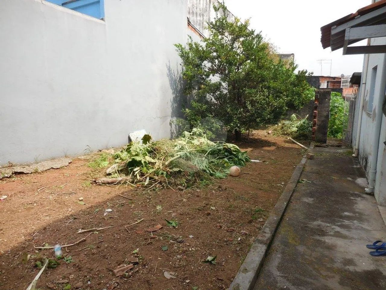 Terreno à venda em Vila maria alta - SP - Foto 3