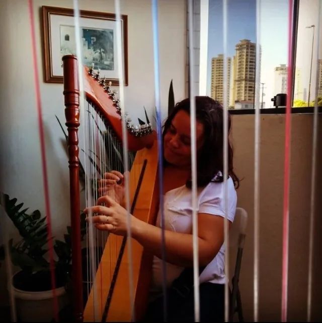 Harpa a venda - Foto 4