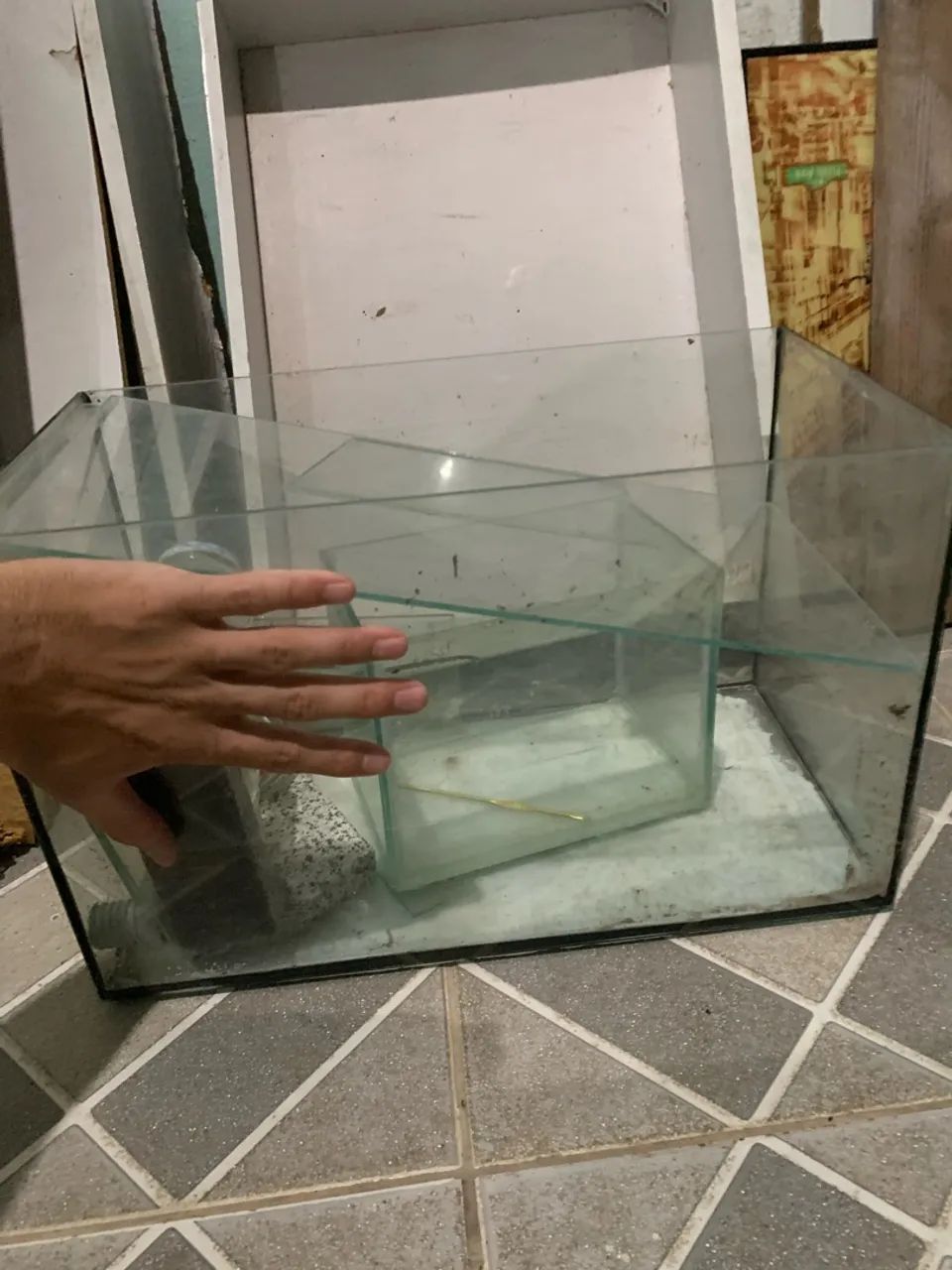 Aquário 
