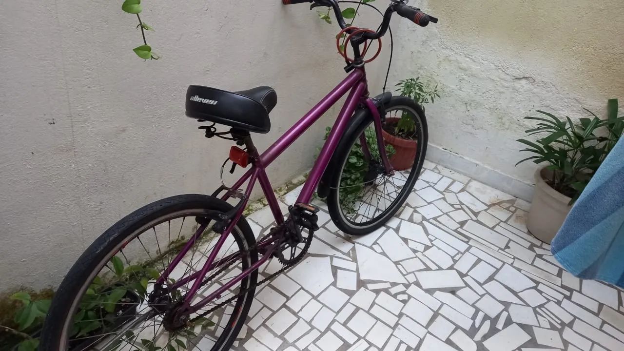 Bicicleta 