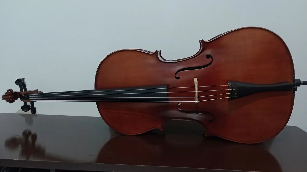 Cello ce300