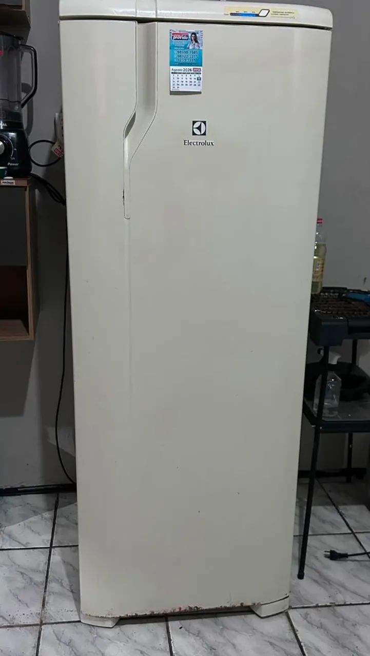Vendo geladeira Eletrolux bca gelo seco - Foto 4