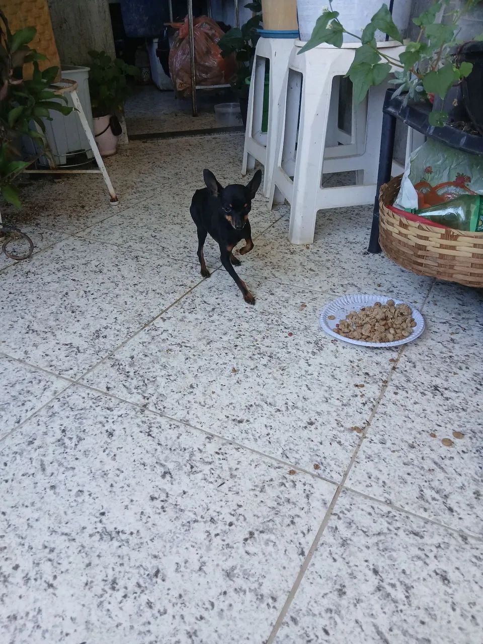 Vendo  - Foto 2