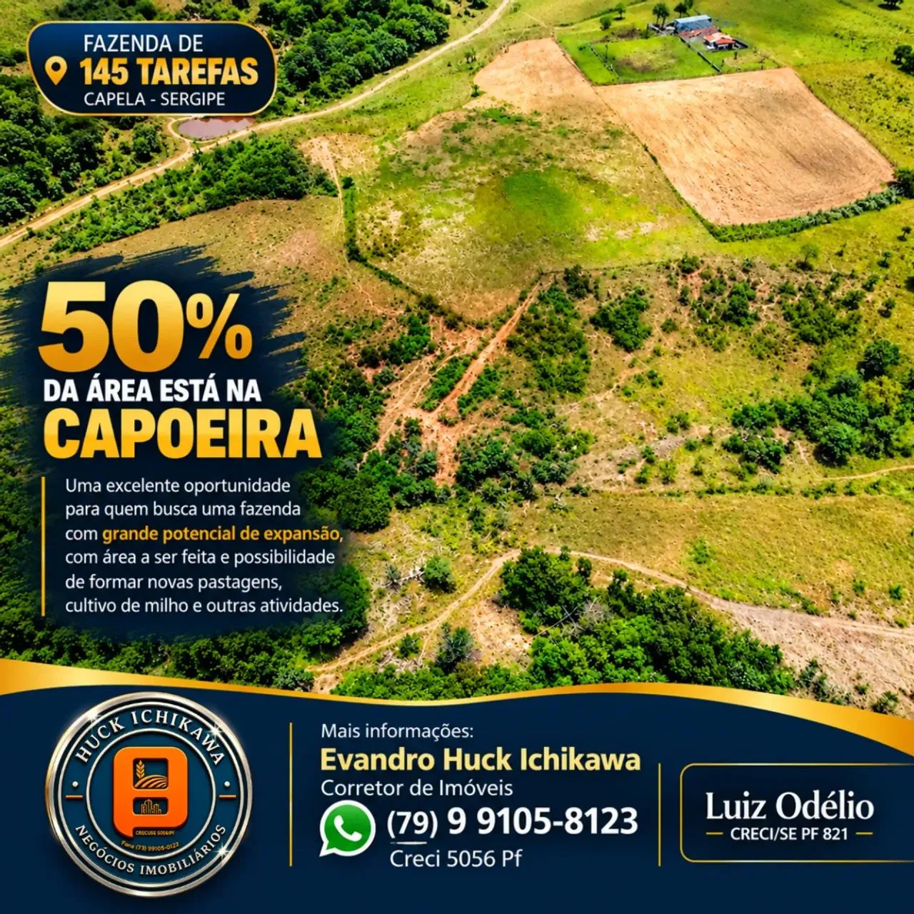 FAZENDA DE 145 TAREFAS - CAPELA - Foto 3
