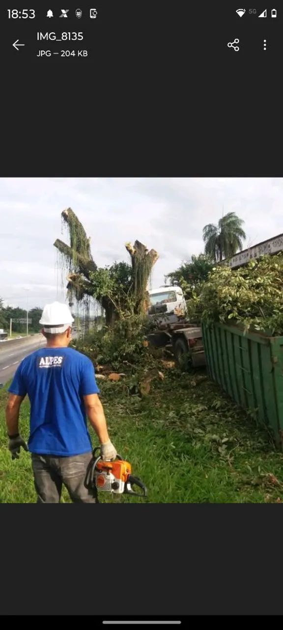 Corte de árvores Niterói e São Gonçalo  - Foto 3