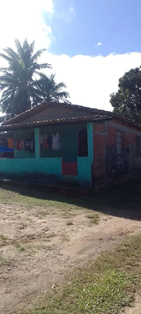 Vende-se Sítio  - Foto 3
