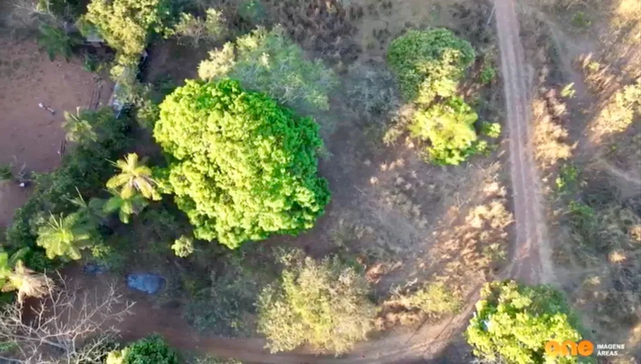 Chácara 1.900m² em Paraíso do Tocantins - Rua 14 - R$ 170.000 - Foto 4