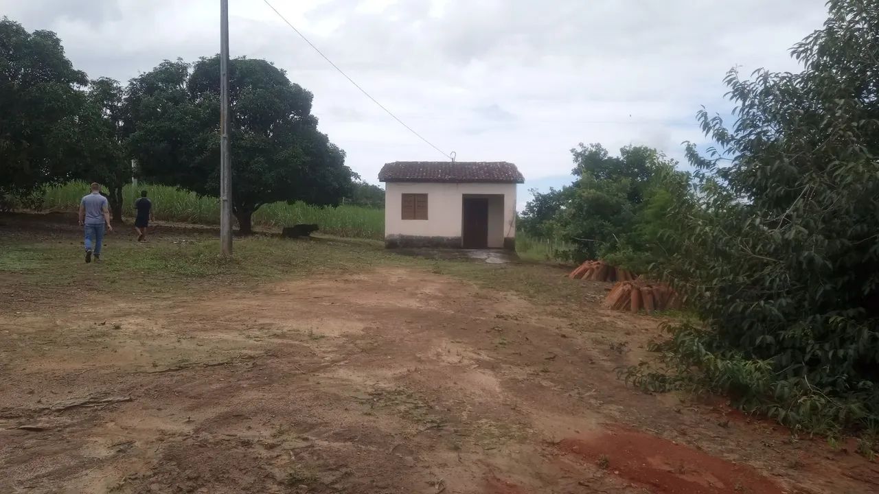 Vendo sítio em Chã de Alegria-PE - Foto 5