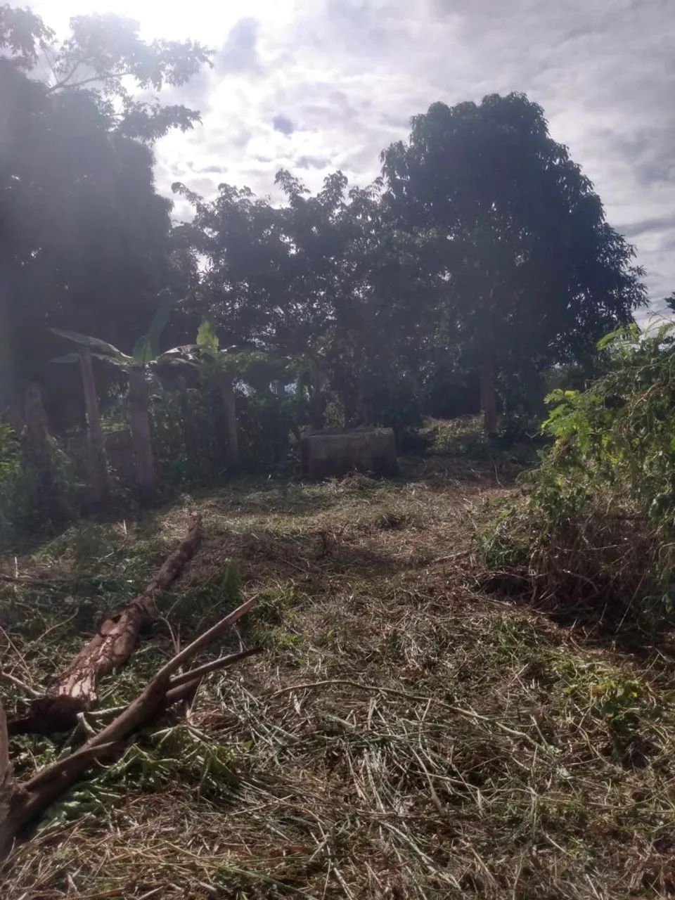Terreno rural ramal nova aliança - Foto 3