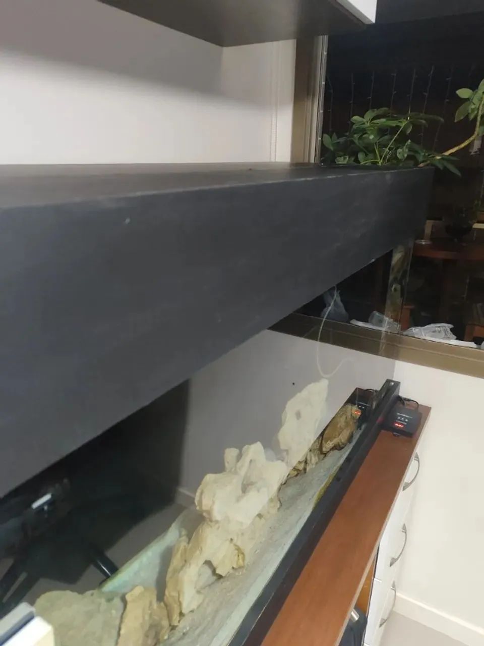 Aquario completo - Foto 5