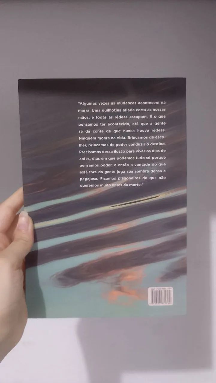 Livro Tudo é rio  - Foto 2