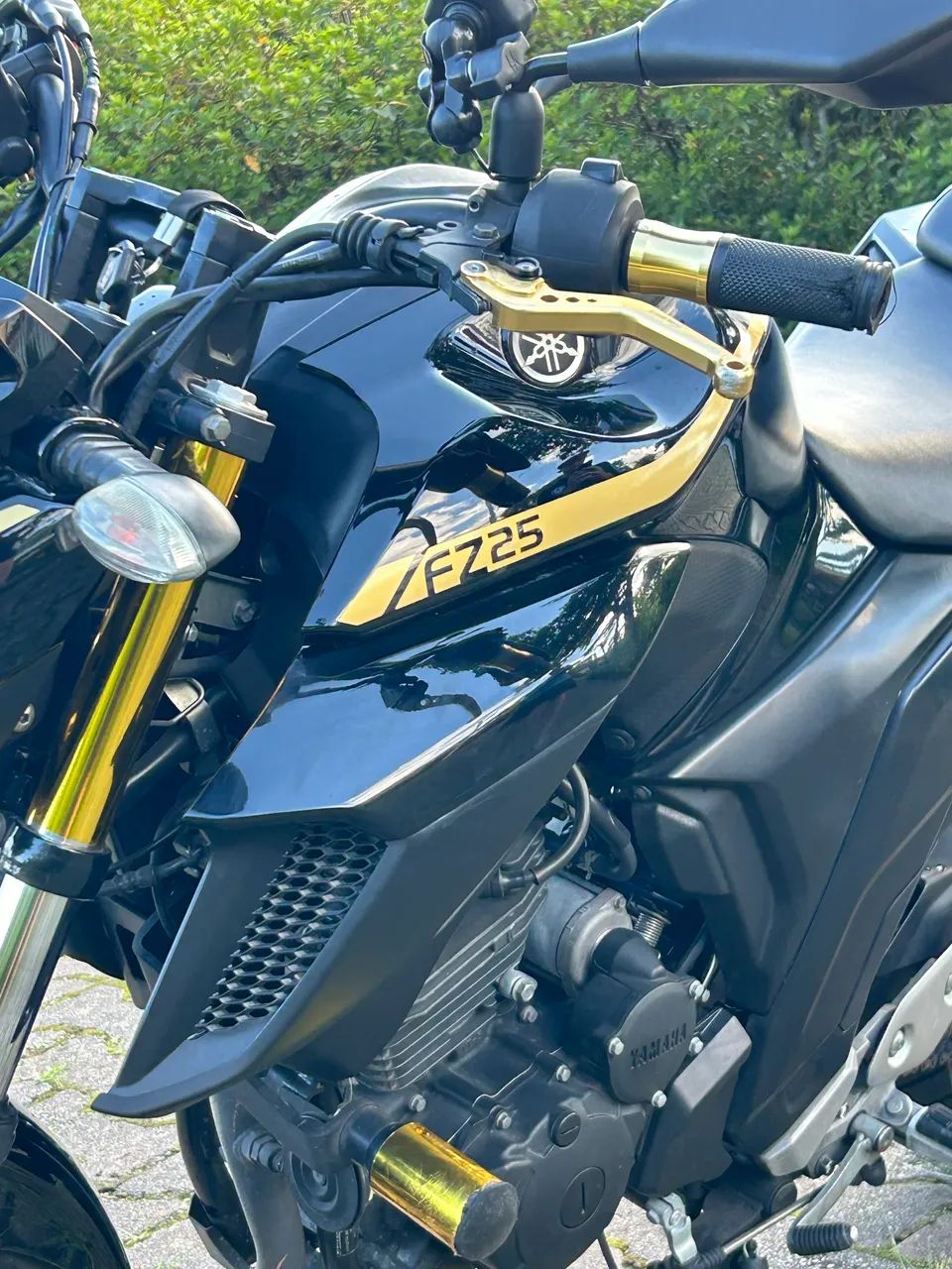 Yamaha Fazer 250 2019 - Personalizada e Impecável  - Foto 4
