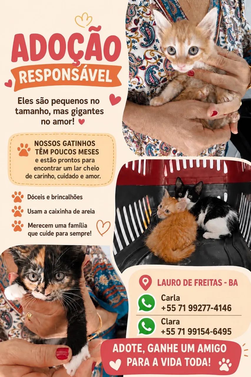 Doação