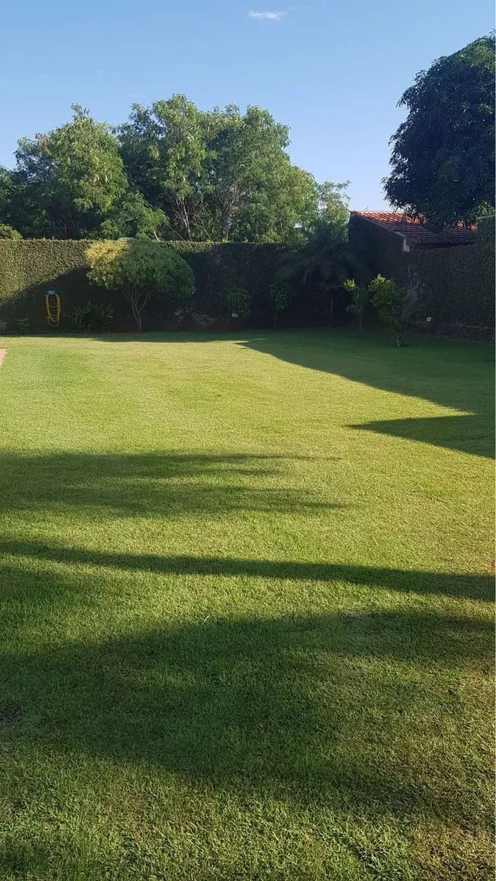 Roçagem de quintal, limpeza em terrenos podagem de árvore - Foto 3