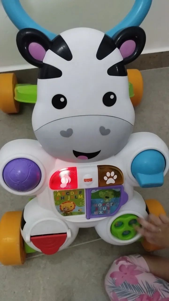 Andador da zebra 