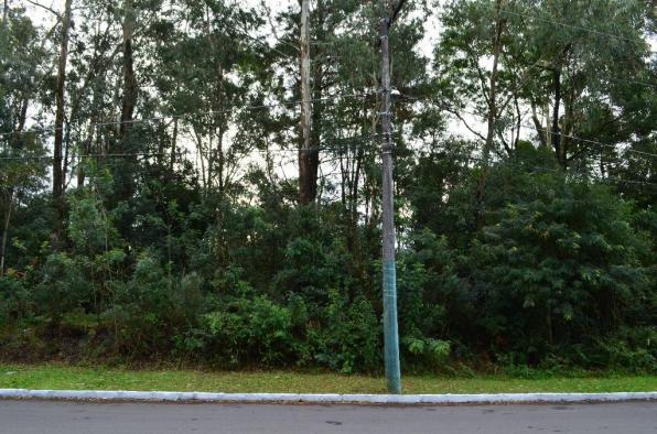 Terreno à venda, 731 m² por R$ 420.000,00 - Lago Negro - Gramado/RS