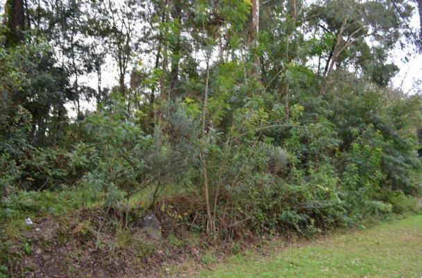 Terreno à venda, 731 m² por R$ 420.000,00 - Lago Negro - Gramado/RS - Foto 6