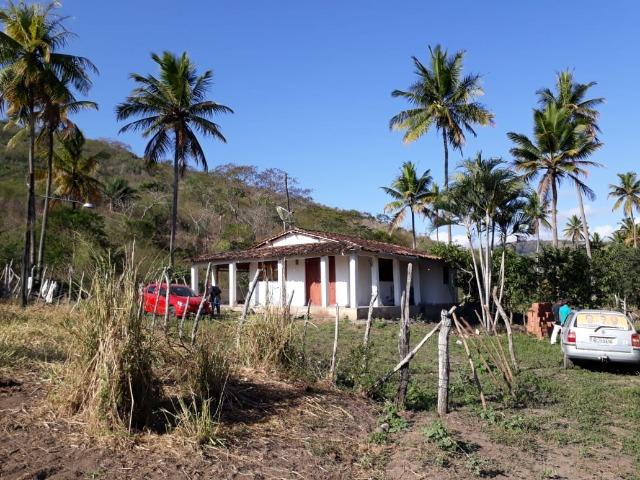 Ótima propriedade de 50 hectares, escriturada e registrada,a 4 km da pista de Pombos-PE - Foto 3