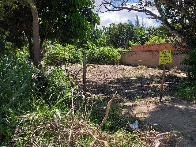 Saquarema - Jardim Ipitangas - excelente terreno 615 m2 - Foto 4