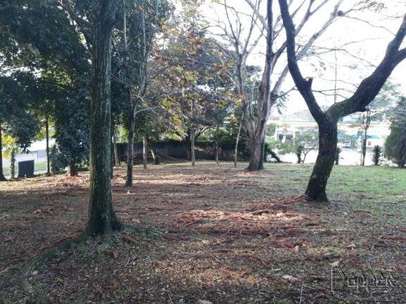 Terreno à venda em União, Estância velha cod:16830 - Foto 3