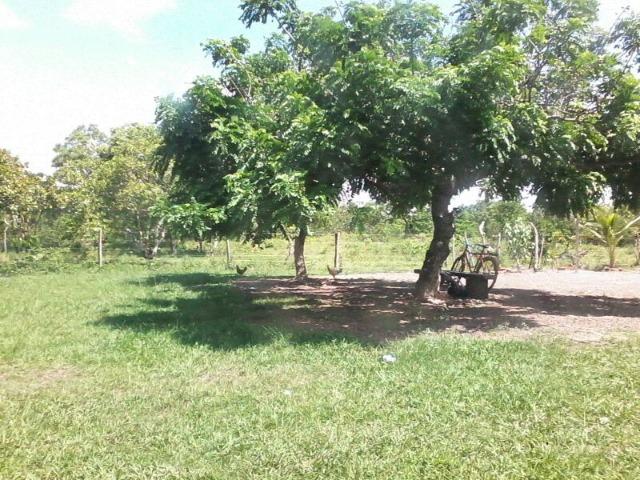 Sitío na Região do Posto 120 - Foto 2