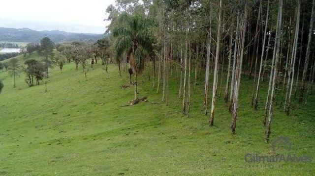 Chácara para Venda, 168.604,00 m², São Bento do Sul / SC, bairro Serra Alta - Foto 10