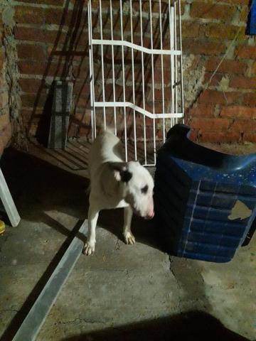 Vendo - Foto 2