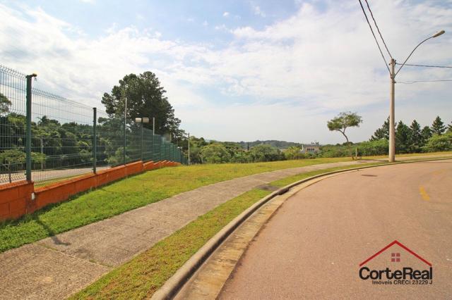 Terreno à venda em Vila nova, Porto alegre cod:6013 - Foto 7