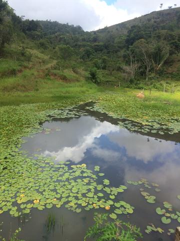Fazenda no Vale do Jequiriçá - Foto 12