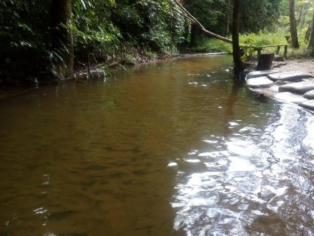 Venda do Sítio com Igarapé - Foto 5
