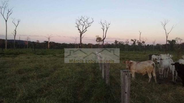 Fazenda à venda, 14520000 m² por r$ 4.500.000 - zona rural - são félix do xingu/pa - Foto 4