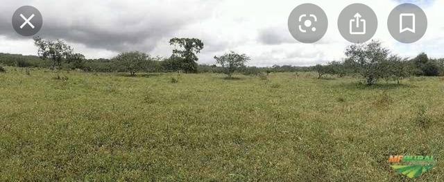 Fazenda em São Gonçalo dos Campos - Foto 2