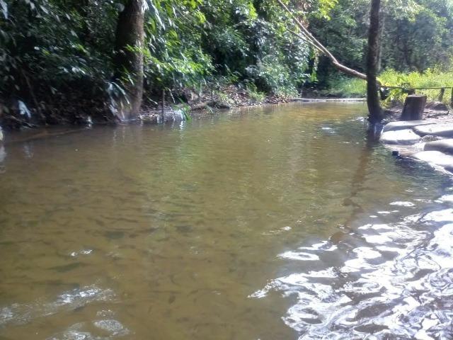Venda do Sítio com Igarapé