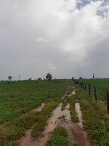 Fazenda 1.210 Hectares Para Lavoura - Colider - MT - Foto 5
