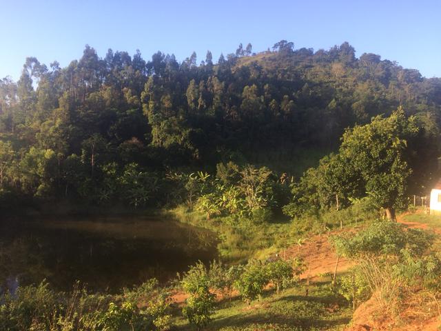 Fazenda no Vale do Jequiriçá - Foto 9
