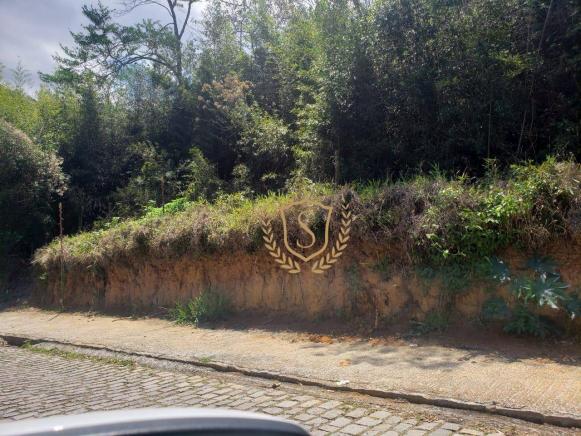 Terreno à venda, 4200 m² por r$ 2.760.000,00 - várzea - teresópolis/rj - Foto 3