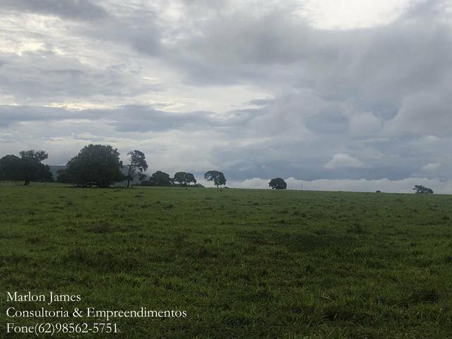 Fazenda em Vila Propício-Go! - Foto 12