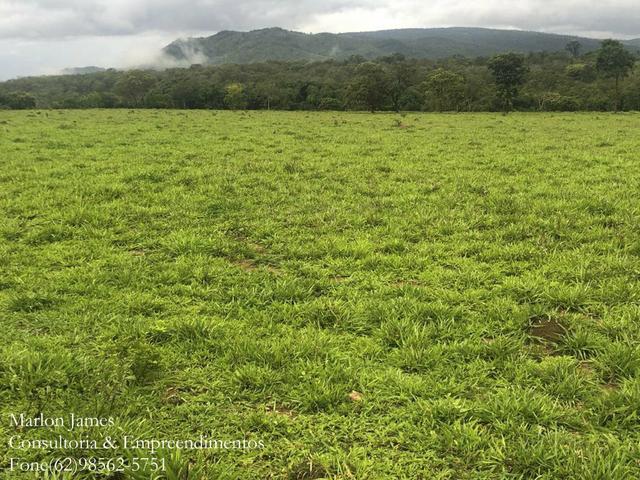 Fazenda em Vila Propício-Go! - Foto 11