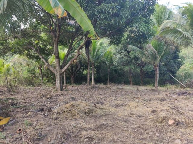 Terreno em São João do Jaboti - Espírito Santo - Foto 7