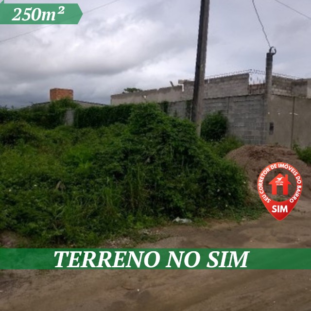 Vendo Terreno no Sim 250m² Escriturado a  600 Metros da Av. Artêmia Pires.