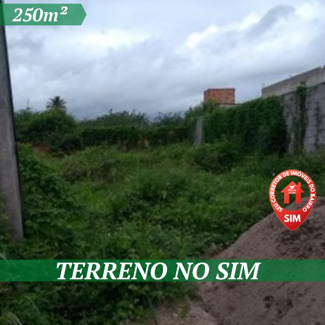 Vendo Terreno no Sim 250m² Escriturado a  600 Metros da Av. Artêmia Pires.