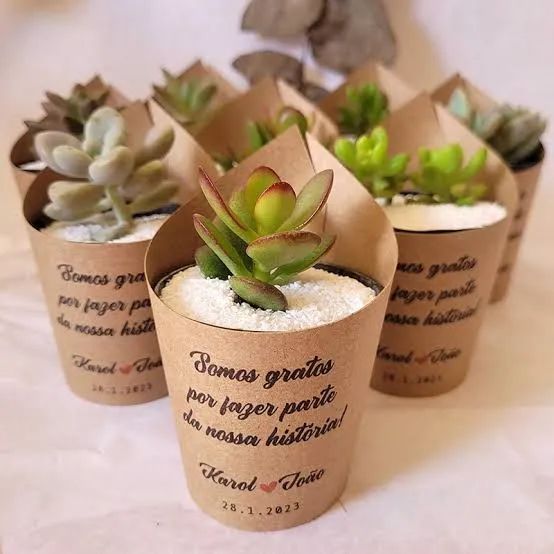 Mini Suculentas Personalizadas - Presentes Únicos <br><br> - Foto 3