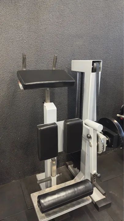 Máquina flexora em pé  Gervasport - Foto 2