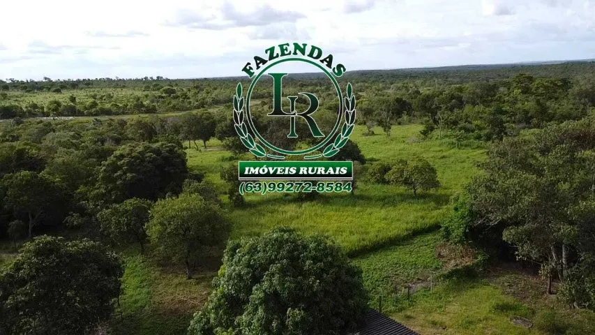 Fazenda Plana100 Alqueires Beira do Asfalto Tocantins