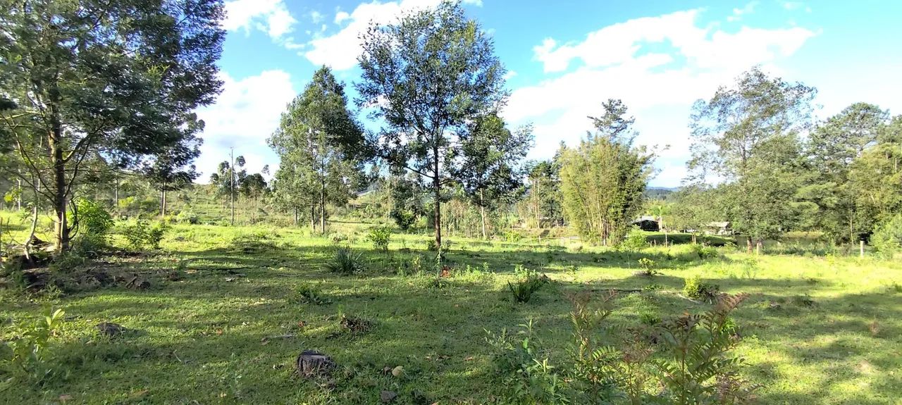 Chácara 1 hectare em Rolante RS Casa alvenaria Principal e Chacreiro Galpão Açudes - Foto 12