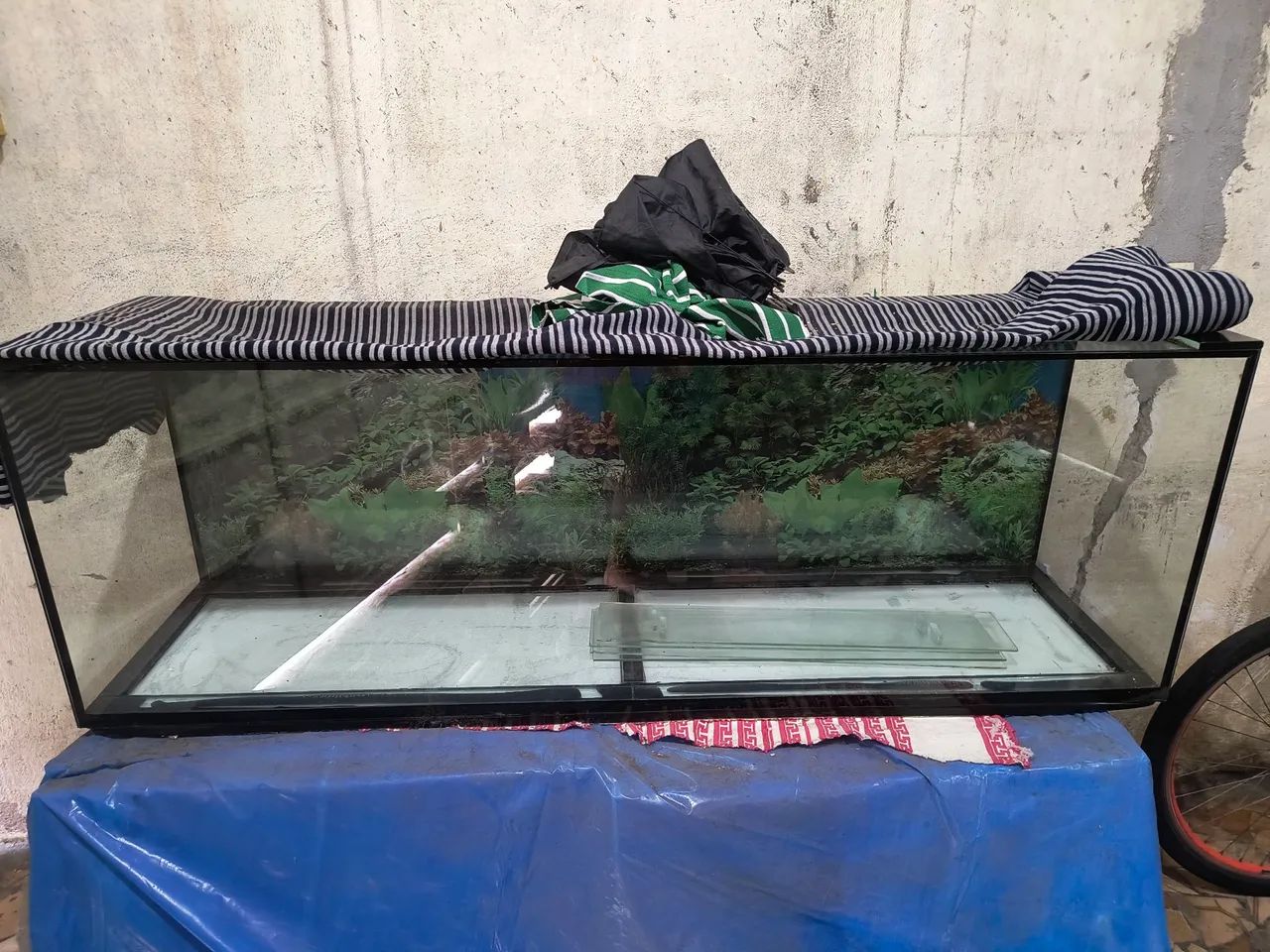 Aquário 500 litros - Foto 2