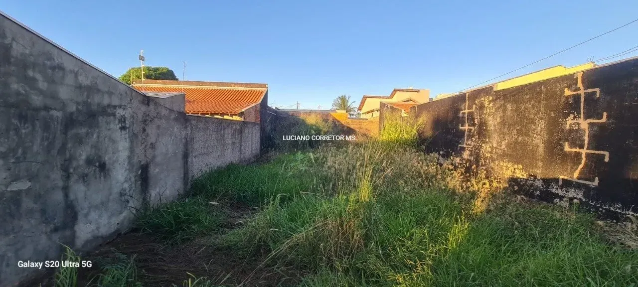 Terreno todo Murado