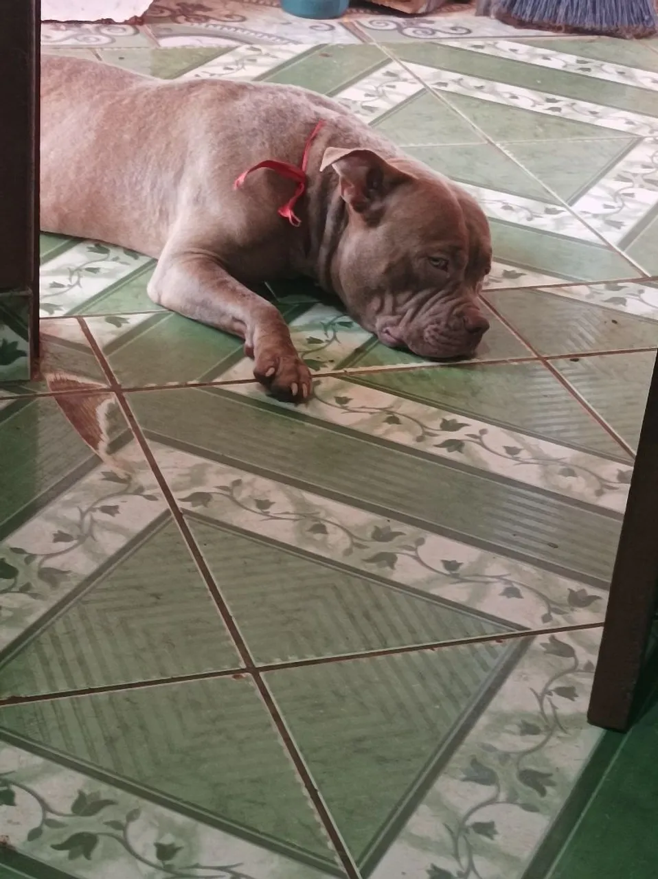 Vendo por 1000.00 pois estou com pouco espaço para ele.