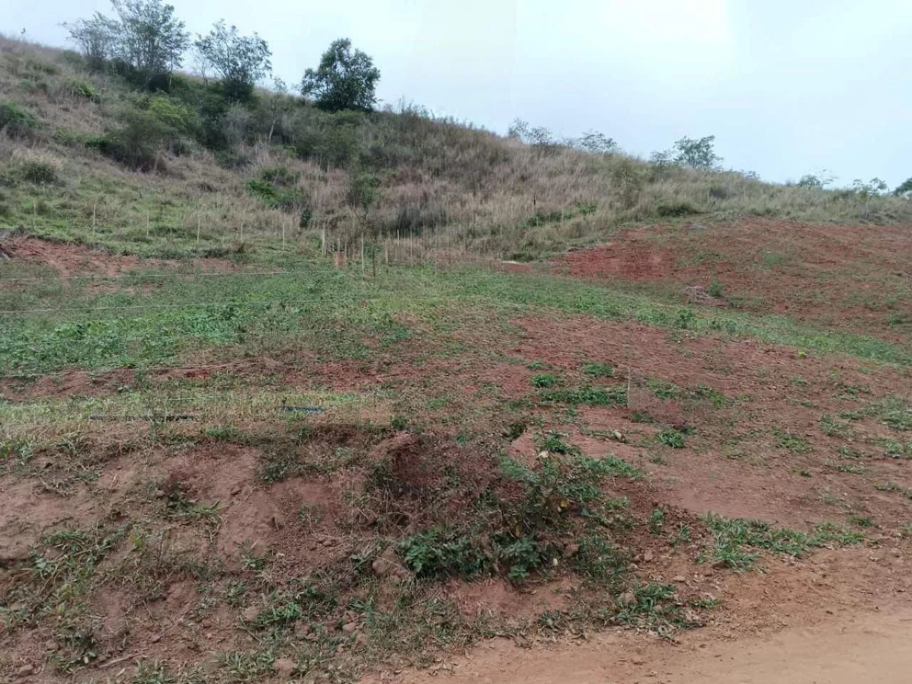 Terreno de chácara 1000m² - Preço baixo - Paraíso particular - Foto 2