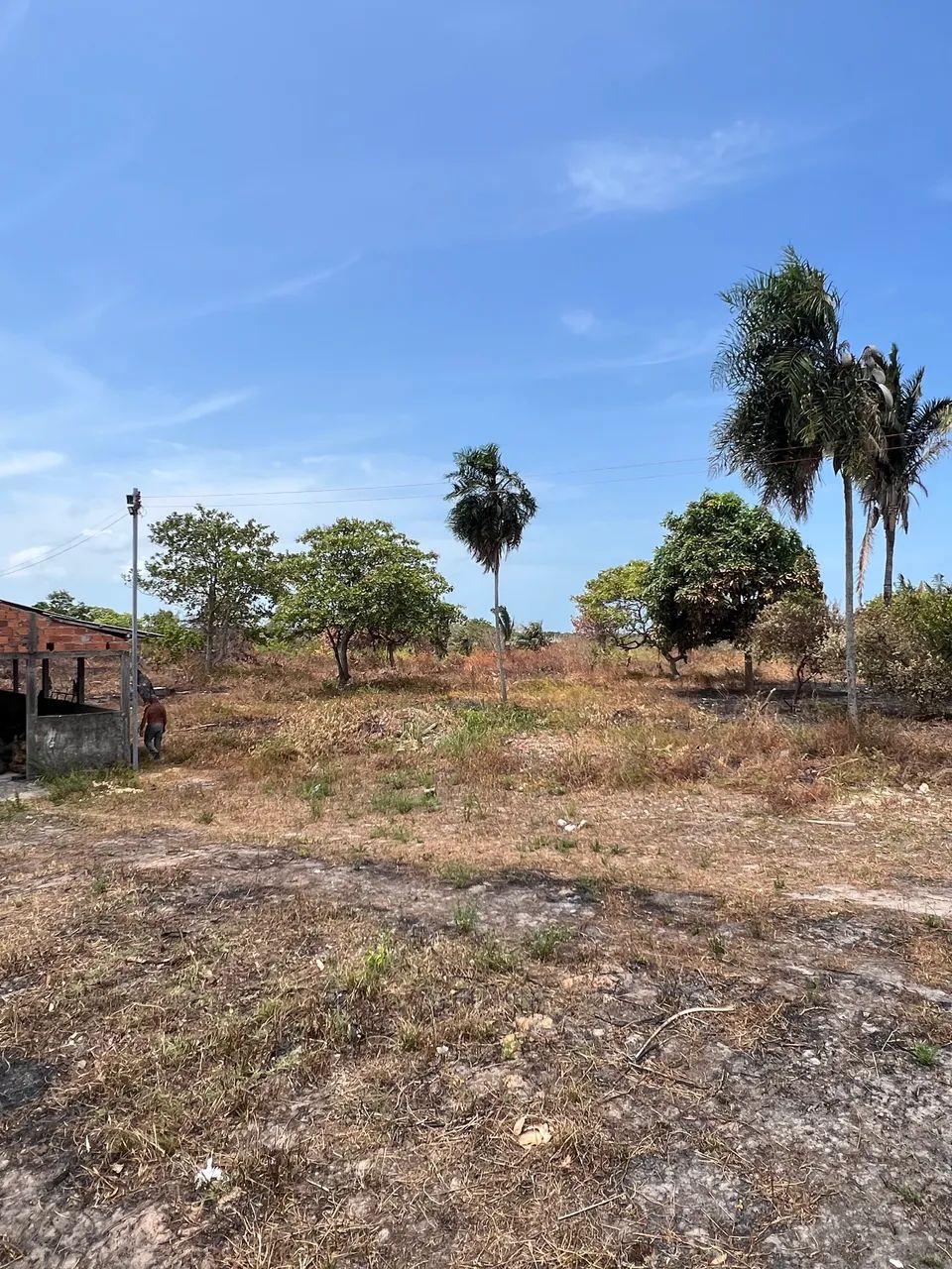 Terreno em Ribamar 40.000 metros  - Foto 12